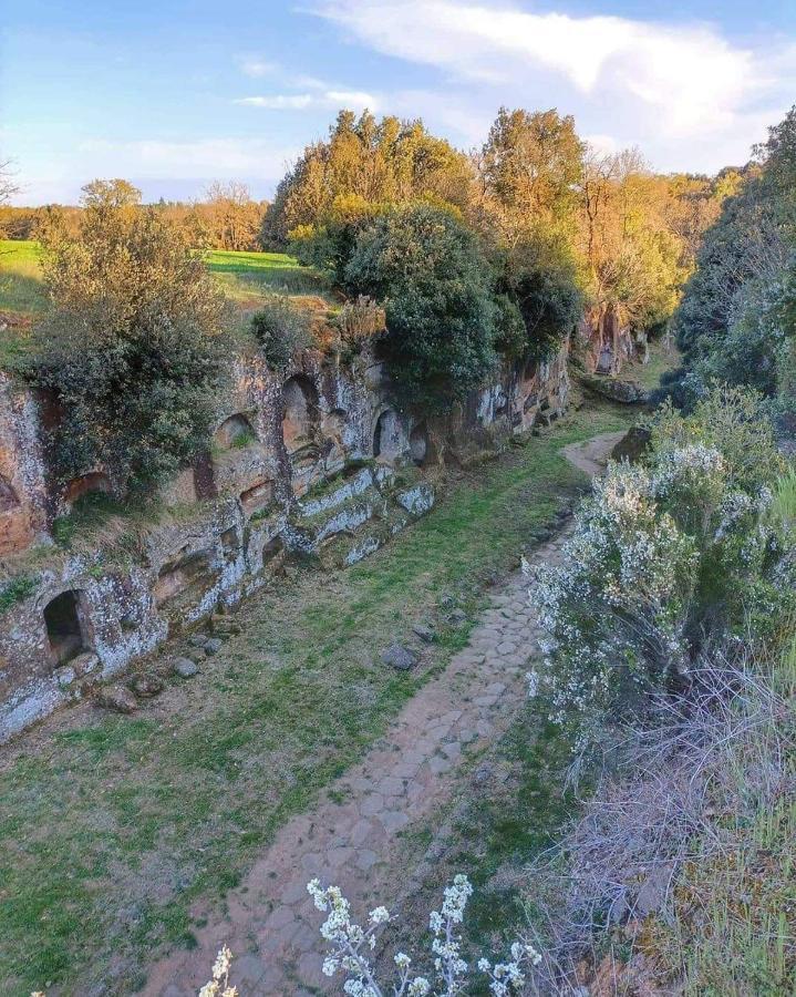 Lety'S House Villa Civita Castellana Eksteriør billede
